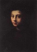 PULIGO, Domenico Portrait of Pietro Carnesecchi oil painting artist